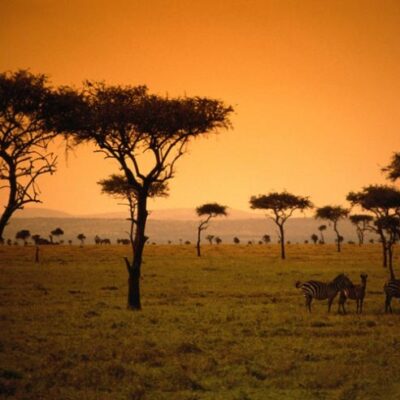 África: luxo selvagem!