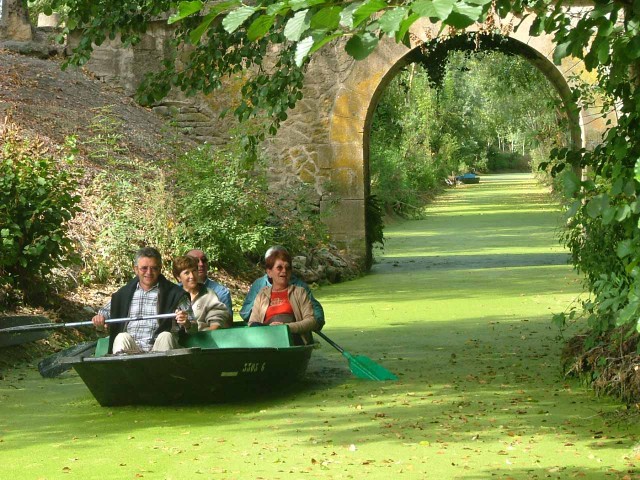 Le paradis, marais poitevin
